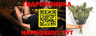 ПСИЛОЦИБИНОВЫЕ ГРИБЫ Заволжье