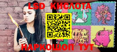 ПСИЛОЦИБИНОВЫЕ ГРИБЫ Заволжье